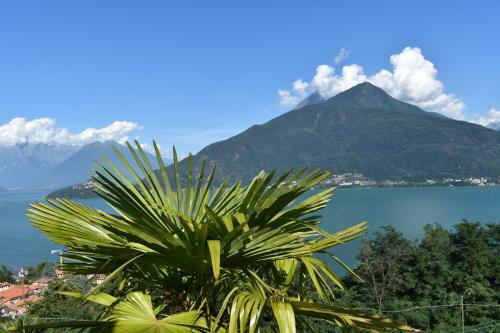 Apartment Monte E Lago