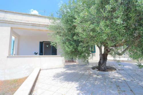 Villa Rita