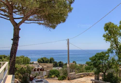 Pool Holiday Houses