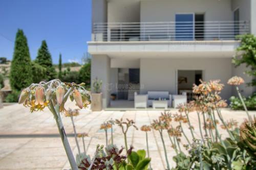 Pool Holiday Houses