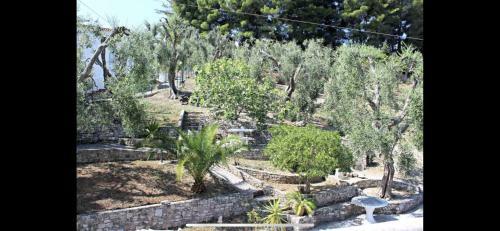 Apartamento Villa Pineta Vista Mare