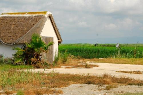 Birds&nature