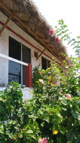 Bungalows Maresias