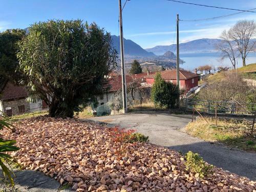 Bellavista