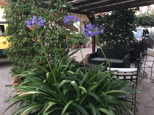 Apartamento Il Fiordaliso