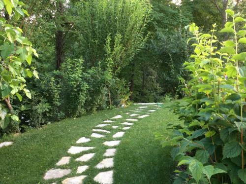 Bed & Breakfast La Collina Dei Conigli