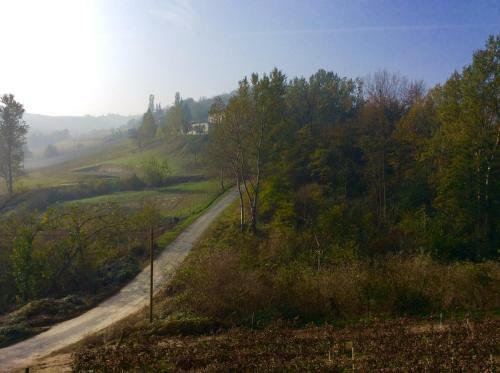 Bed & Breakfast La Collina Dei Conigli