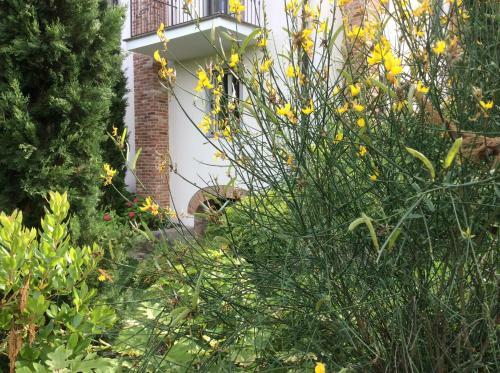 Bed & Breakfast La Collina Dei Conigli