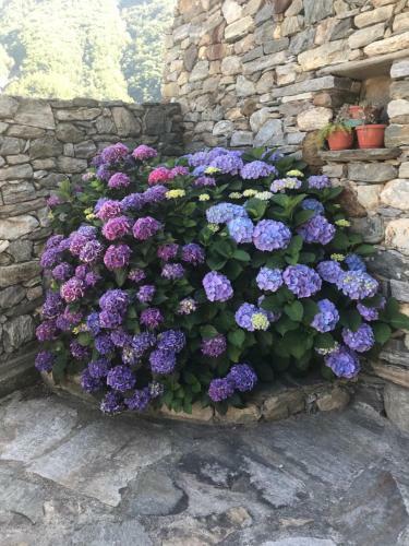 Hostal Lo Sougnet