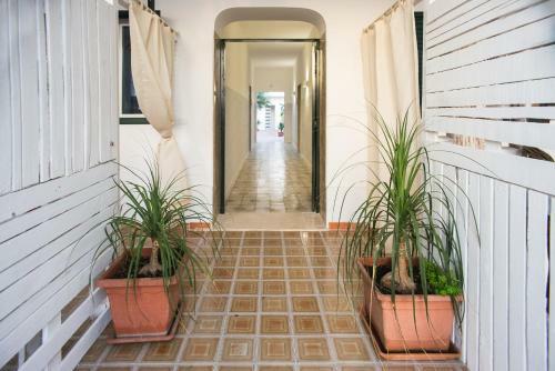 Apartamento Serenedad Casavacanza Torre Lapillo