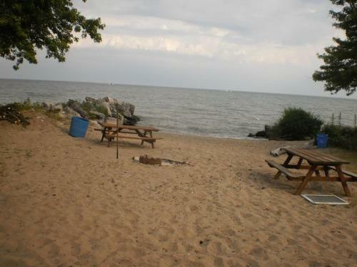 Cedar Island Xanadu