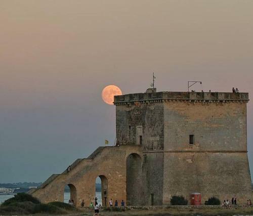 Salento D' Amare