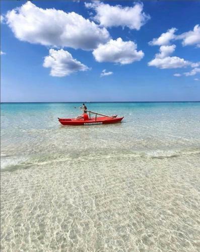 Salento D' Amare