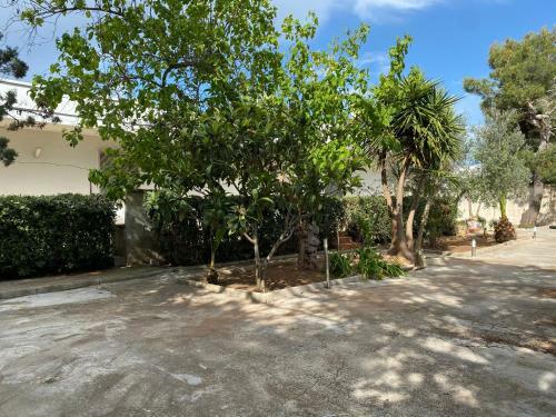 Villa Soraya