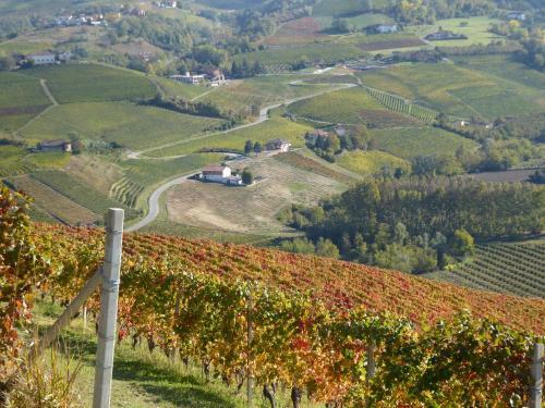 Hostal La Vite � Bella