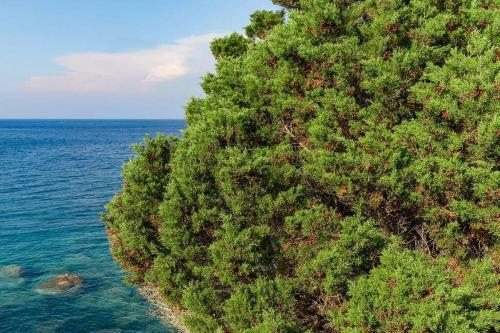 Villino Delia-infinityholidays