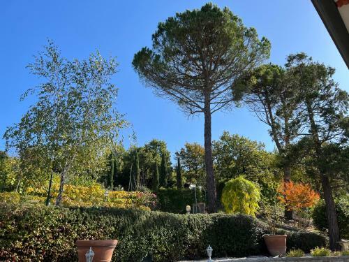 Villa Casa Dei Tramonti