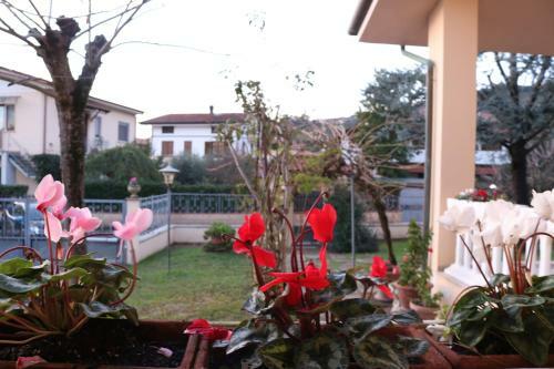 Hostal Villa La Perla