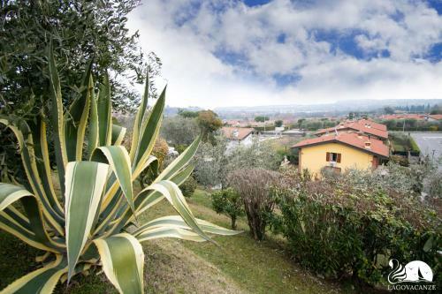 Villa Jole