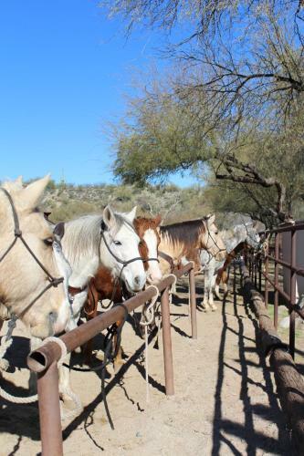 Hotel Kay El Bar Guest Ranch