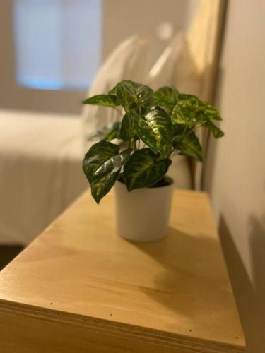 Apartamento The Modern Minimalist Unit A With Free Parking