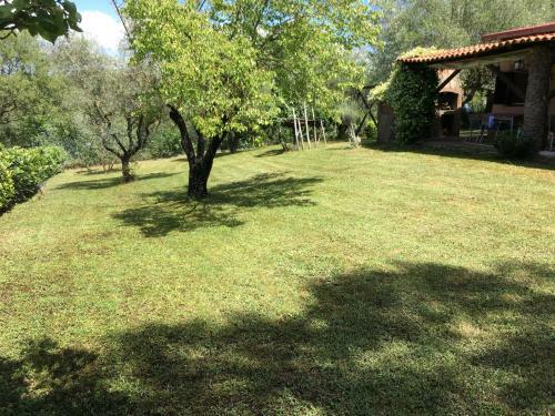 Natural Chalet