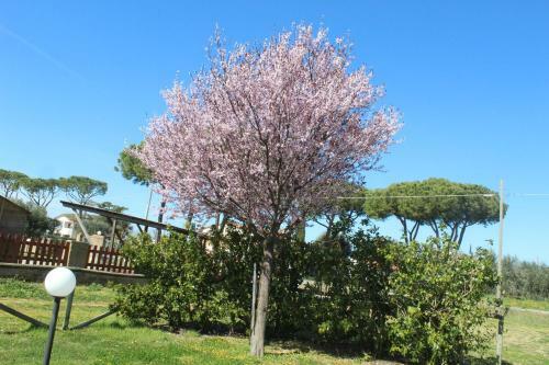Agroturismo Agriturismo Mimosa
