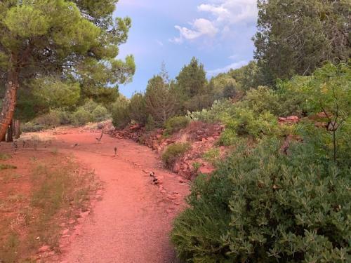 Saddle Rock Ranch B&B At West Sedona