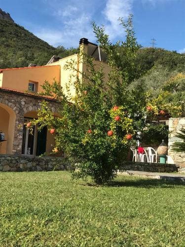 Bed & Breakfast Ort Holiday's Time