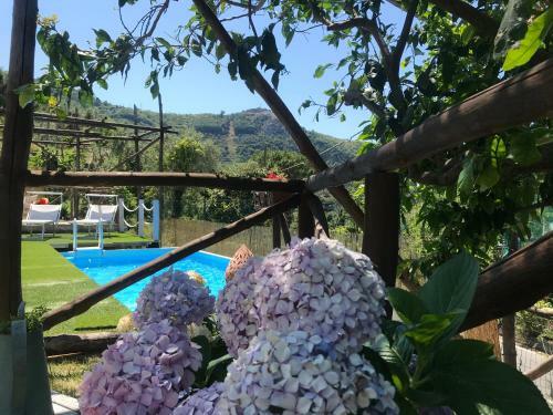 Villa Flore