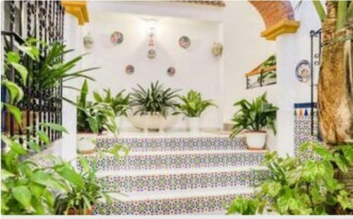Apartamentos Los Arcos