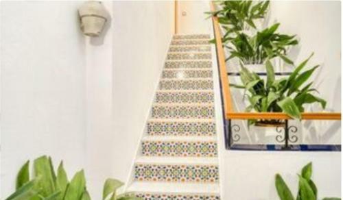 Apartamentos Los Arcos