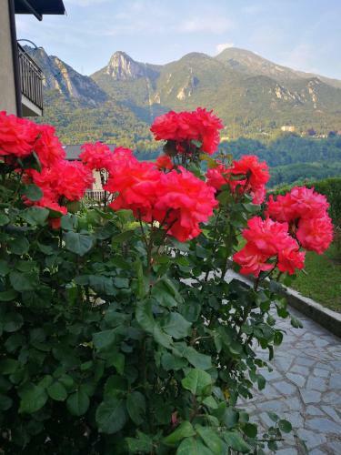 Apartamento Stella Delle Grigne