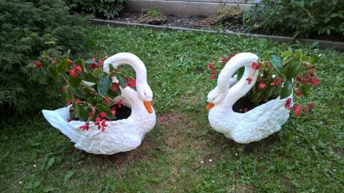 B&B San Giorgio