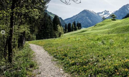 Apartamento Langeshof Fewo Morgensonne