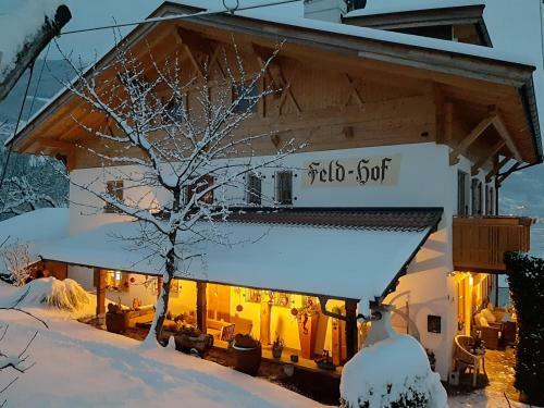 Apfel Chalet Feld-hof