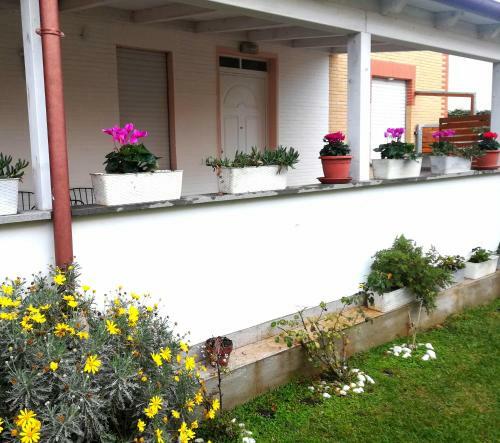 Bed & Breakfast Romadamare