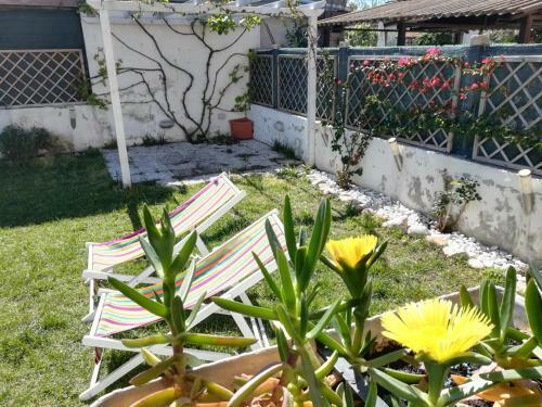 Bed & Breakfast Romadamare