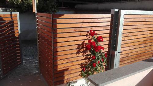 Bed & Breakfast Romadamare
