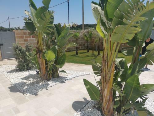 Bed & Breakfast Saman� Superior Room