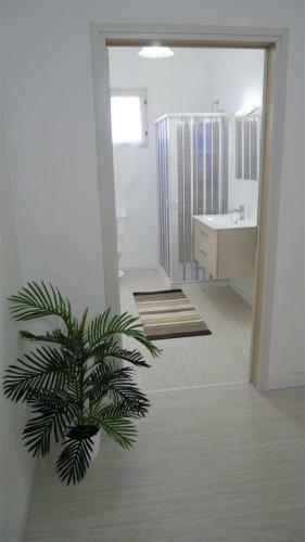 Apartamento Appartamento A Punta Grossa Con Giardino