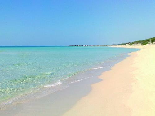 Punta Prosciutto Apartments To Rent