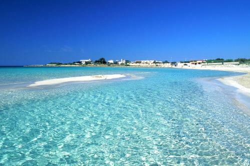 Punta Prosciutto Apartments To Rent