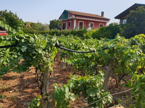 Dependance Villa Elisabetta