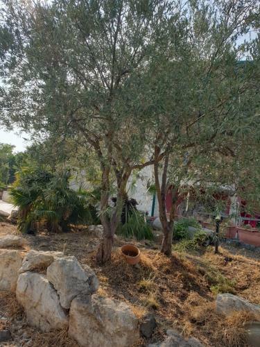 Dependance Villa Elisabetta