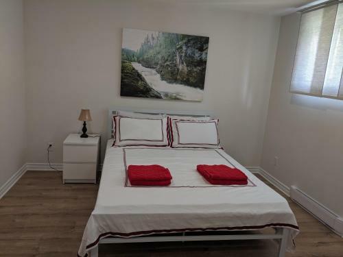 Spacious Basement One Bedroom Apartment, Wifi.