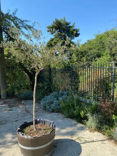 Apartamento Appartamento In Cascina