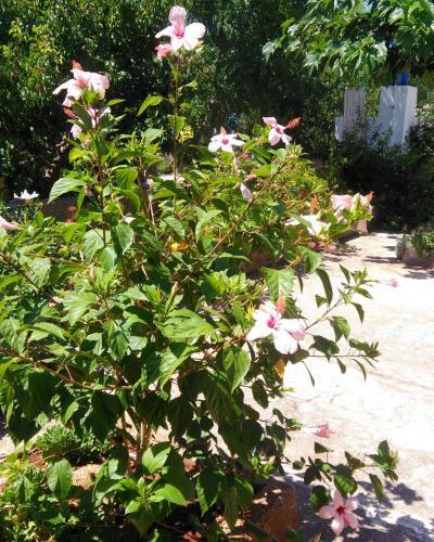 Apartamento Villetta Relax