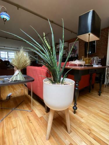 Apartamento Old Montreal Luxury Loft