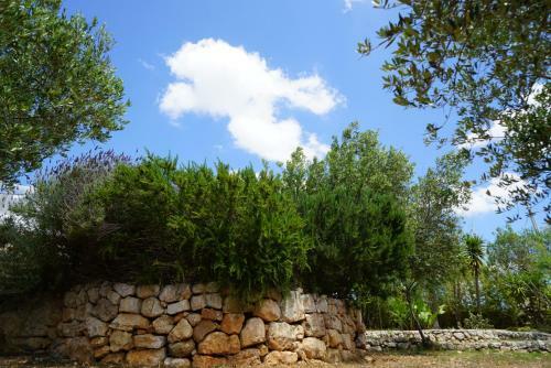 Villa Andrew's Home - Luisanna